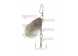 Spinner Fishing Lure Falcon 1