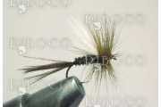 Fly Fishing Fly TG Cahill