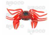 Reserve silicone crab fishing for octopus