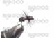 Fly Fishing Fly Forest Ant
