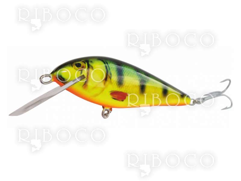 Leurre Flottant Kenart Falcon GG - 8 Cm 10g - Pour Truite, Aspe, Chevesne, Bar