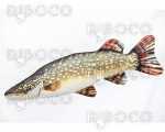 Възглавничка Gaby – River Pike