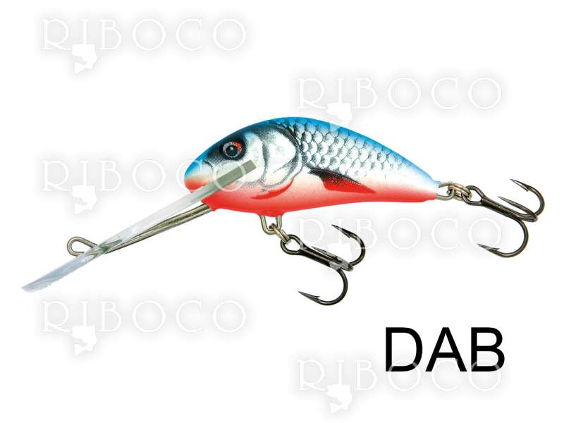 Salmo Hornet Deep Runner - sinking from fishing tackle shop Riboco