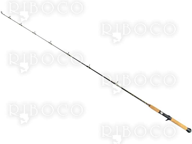 Casting Rod Penn Pinpoint