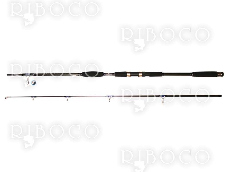 Fishing Rod Silstar Carbodynamic Cat Fish from fishing tackle shop Riboco  ®Riboco ®