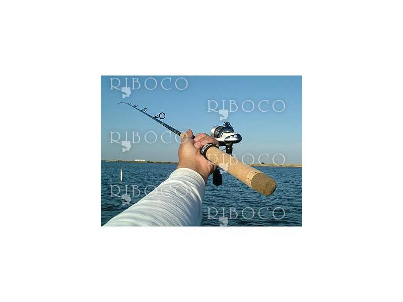 Fishing Reel Okuma VS from fishing tackle shop Riboco ®Riboco ®