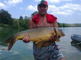 Float, Common carp 