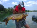 Float, Common carp 