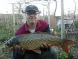 Heavy, Common carp 