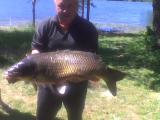 Heavy, Common carp 