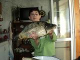 Heavy, Common carp 