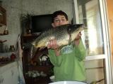 Heavy, Common carp 