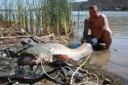 Clonk, Wels catfish