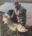 Trolling, 	Northern pike