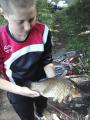 Heavy, Prussian carp