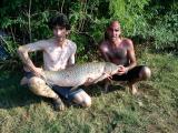 Float, 	Grass carp 