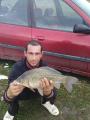 Heavy, Prussian carp