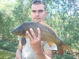 Heavy, Common carp 