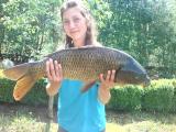 Heavy, Common carp 