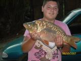 Float, Common carp 