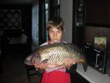 Heavy, Common carp 