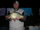 Float, Common carp 