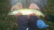 Риболов на плувка, Щука
