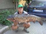 Heavy, 	Grass carp 