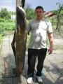 Float, Wels catfish