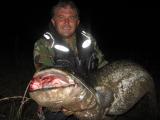 Clonk, Wels catfish