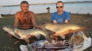 Heavy, 	Grass carp 
