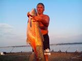 Heavy, 	Grass carp 