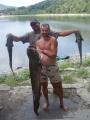 Clonk, Wels catfish