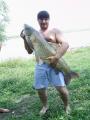Heavy, 	Grass carp 