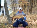 Heavy, Common carp 