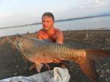 Heavy, 	Grass carp 