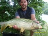 Heavy, Common carp 