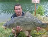 Float, Common carp 