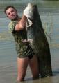 Clonk, Wels catfish