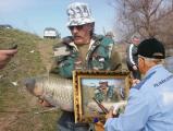 Heavy, 	Grass carp 