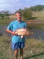 Heavy, Common carp 