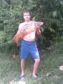 Heavy, Common carp 